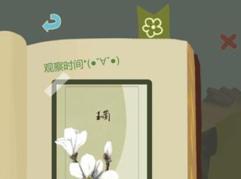 老农种树清爽版