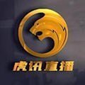 虎讯体育