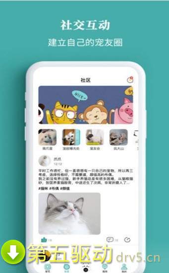 宠+社区