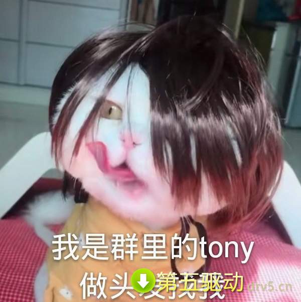 抖音球球表情包
