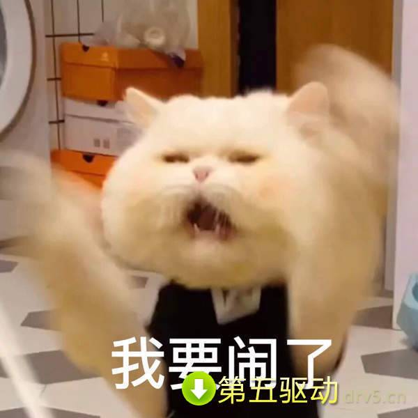 抖音球球表情包