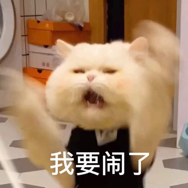 抖音球球表情包