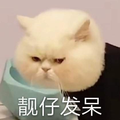 抖音球球表情包