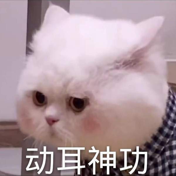 抖音球球表情包