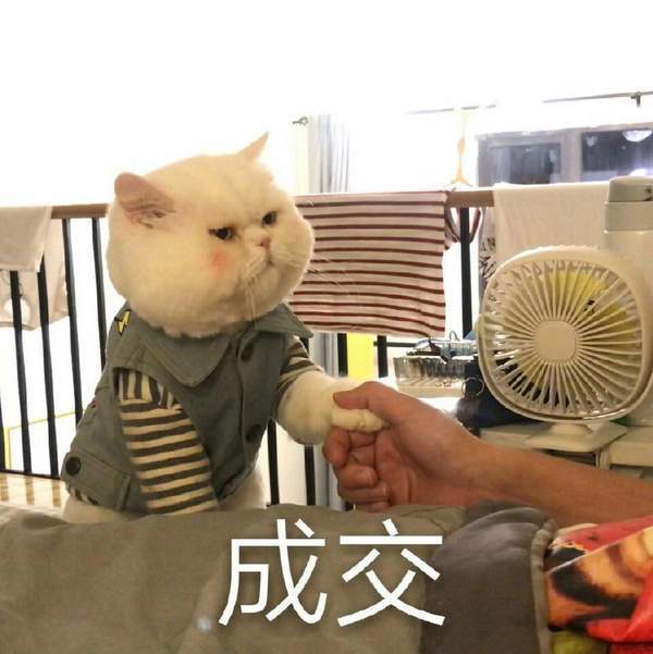 抖音球球表情包