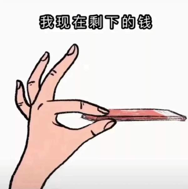 今年我花的钱表情包