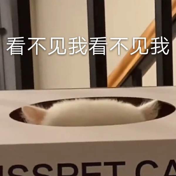 抖音球球表情包