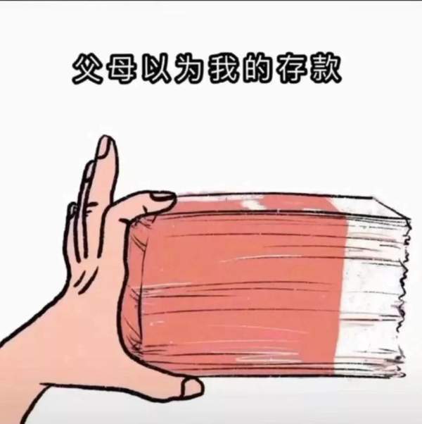 今年我花的钱表情包