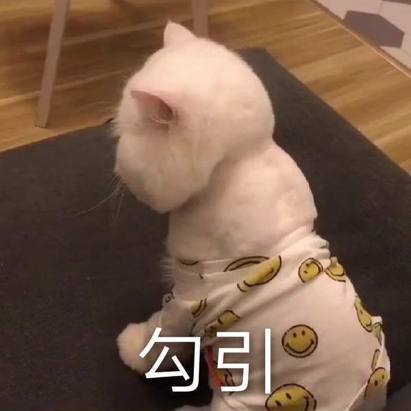 抖音球球表情包