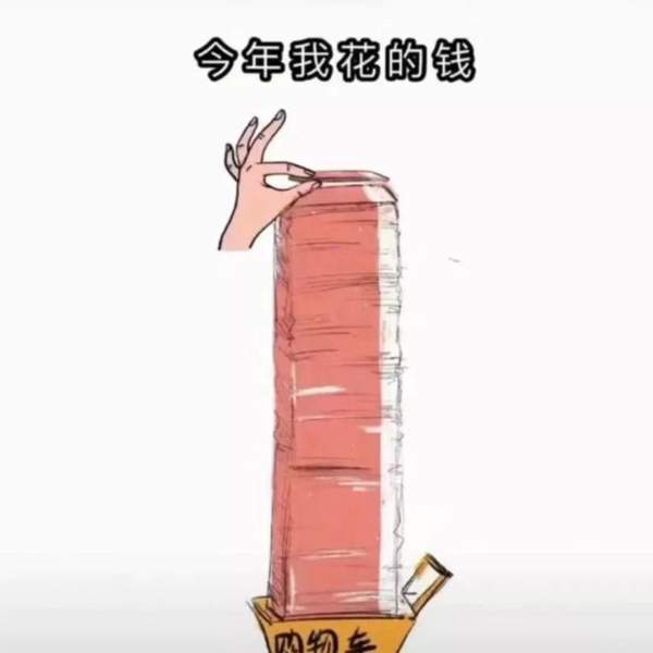今年我花的钱表情包