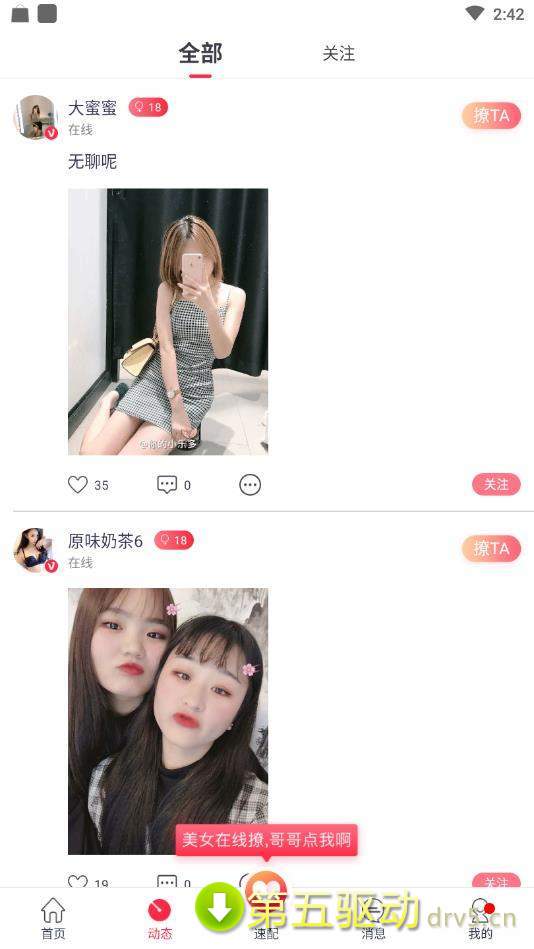 叮叮猫最新版