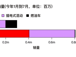 与特斯拉“背道而驰”，比亚迪能征服世界吗？