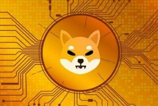 babydoge币最新消息(babydoge币最新消息欧意交易所怎么会风控呢)