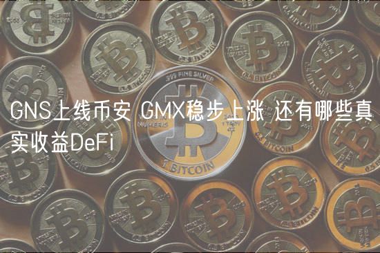 GNS上线币安 GMX稳步上涨 还有哪些真实收益DeFi-第1张图片-binance交易所
