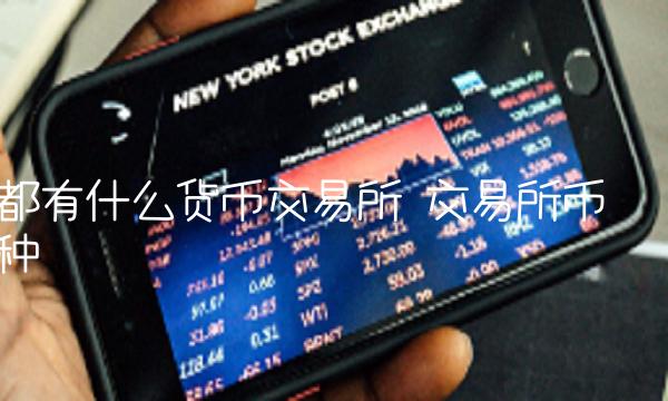 都有什么货币交易所-第1张图片-binance交易所
