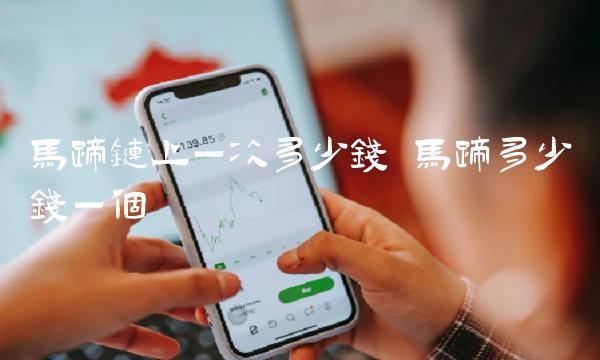 马蹄链上一次多少钱 马蹄多少钱一个-第1张图片-binance交易所