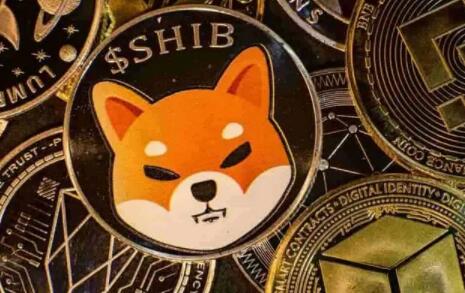 派币市场价(派币市场价格最新消息)-第1张图片-binance交易所