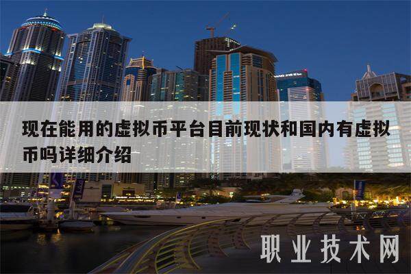 现在能用的虚拟币平台目前现状和国内有虚拟币吗详细介绍-第1张图片-binance交易所