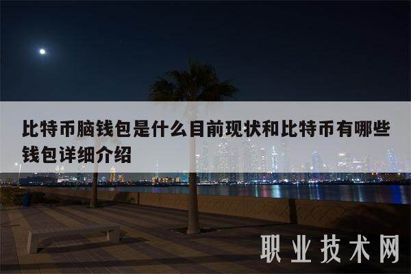 比特币脑钱包是什么目前现状和比特币有哪些钱包详细介绍-第1张图片-binance交易所